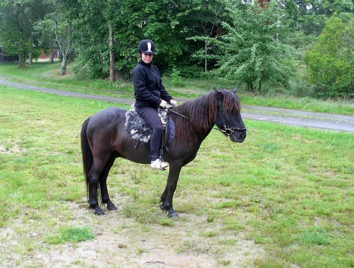 Islænder Mannblendinn från Näs - Katja och Manne utanför stallet efter en turridning i Näs sommaren 2007  billede 2