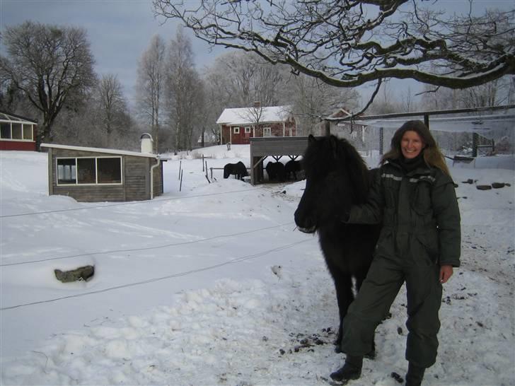 Islænder Mannblendinn från Näs - Vinter i Näs. billede 3