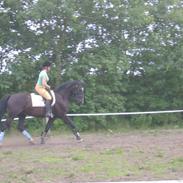 Anden særlig race Mon Cheval