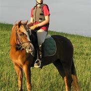 DSP Fire In The Sky (Død)