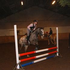 Anden særlig race Kvistgaardens Mr. Unique.