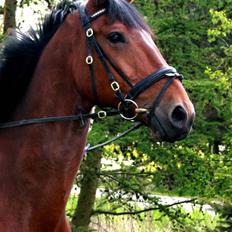 Oldenborg Egelund nilus