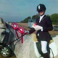 Anden særlig race Holmgaards Sir Toby