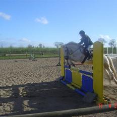 Connemara pilgaard`s silver stone 