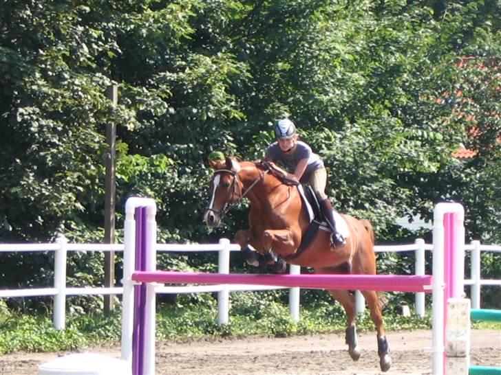 Anden særlig race Ølfert, solgt - Mig og Ølle, da jeg var oppe og ride ham hos hans nye ejere :) billede 9