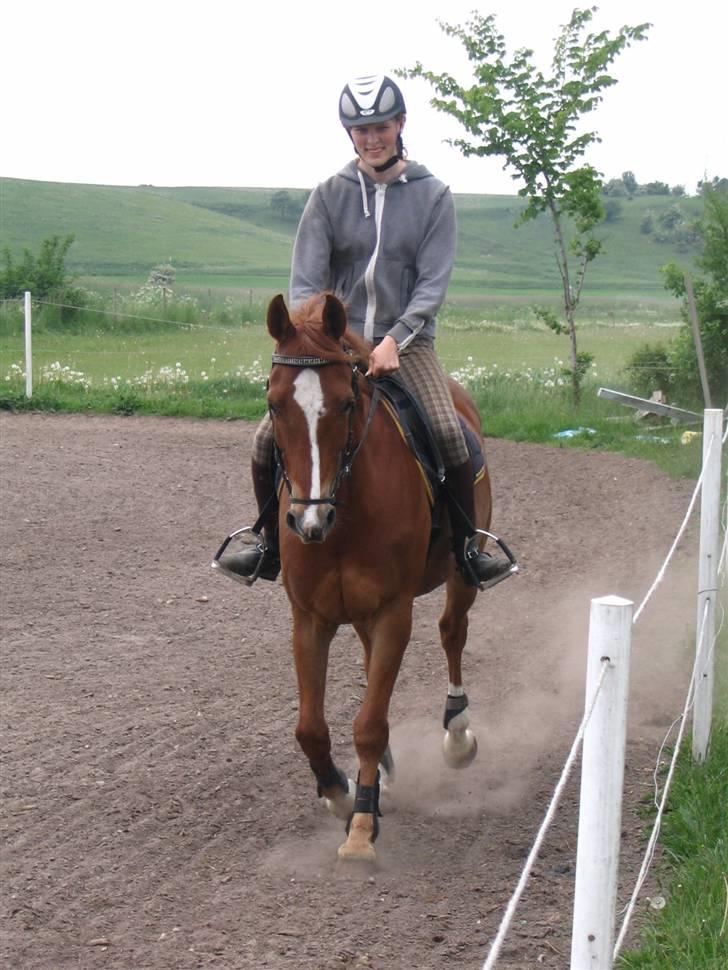 Anden særlig race Ølfert, solgt - Den sidste dag jeg havde Ølle :) :/ billede 13