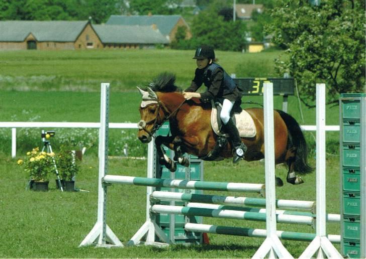 DSP Snit A-pony - dejlige snitter... billede 1