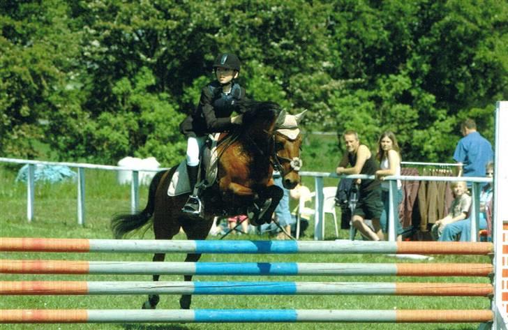 DSP Snit A-pony - Fra C-stævne i Langå og Omegns Rideklub. Vi red distriktsmesterskab for hold og blev slået med 15/100 sek. i omspringningen om 3. pladsen - ØV billede 3