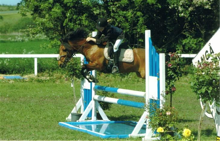 DSP Snit A-pony - Kommer vi mon helt over?? billede 4