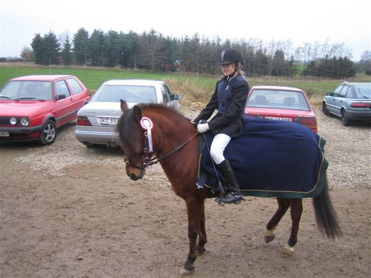 DSP Snit A-pony billede 5