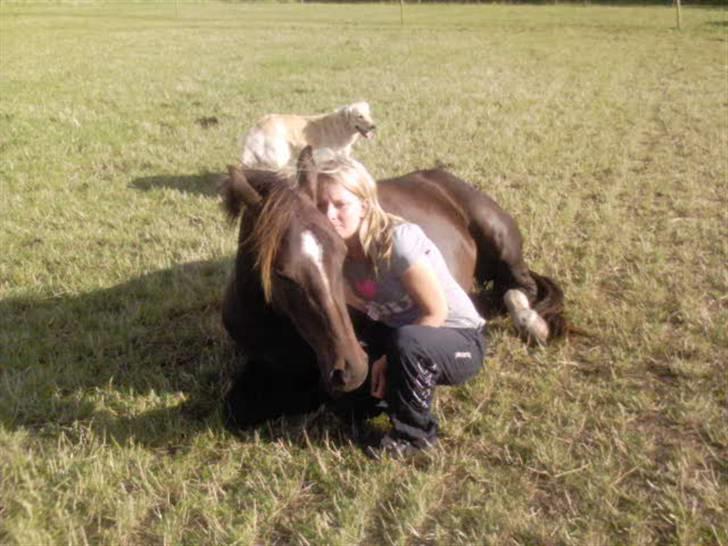 DSP Mitit billede 14