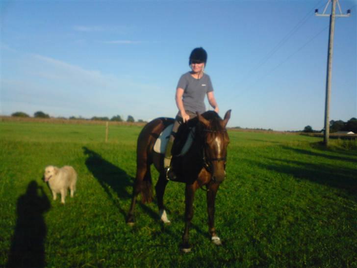 DSP Mitit billede 16