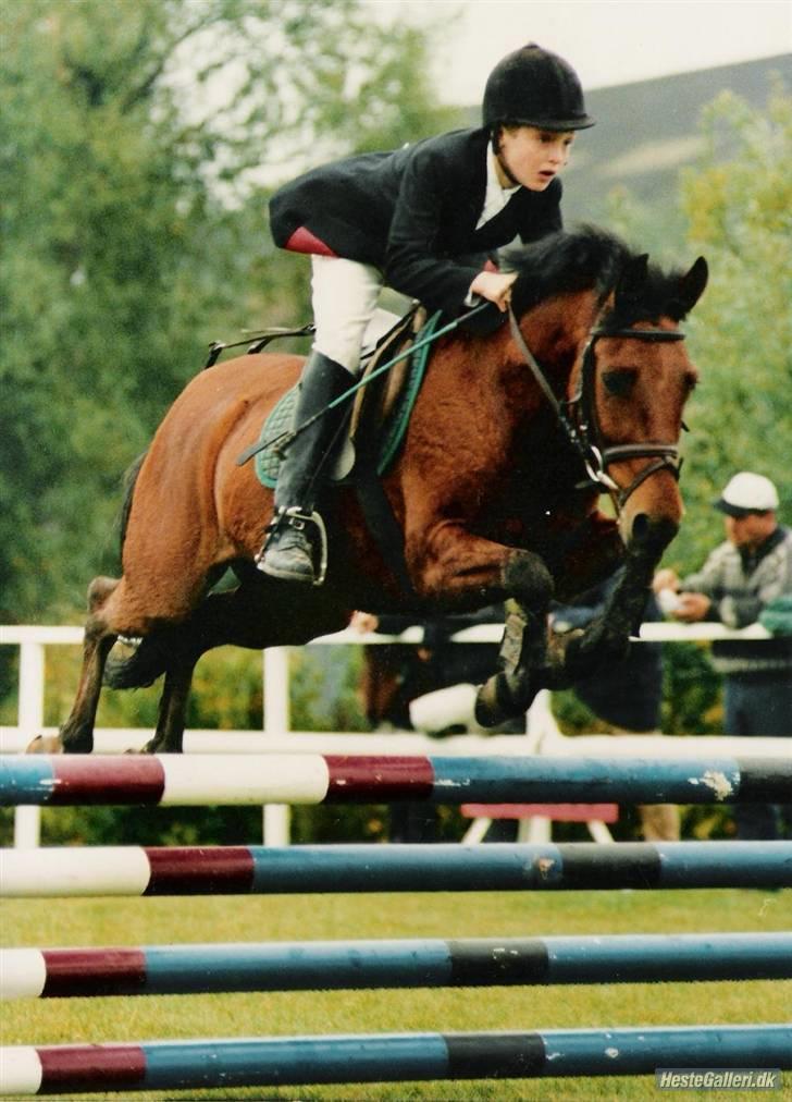 DSP Snit A-pony - Snit med Troels Lundemose Andersen billede 9