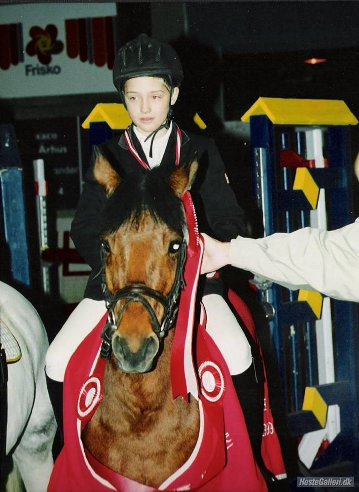 DSP Snit A-pony - Snit og Troels Lundemose Andersen vinder DM i 1999 billede 10