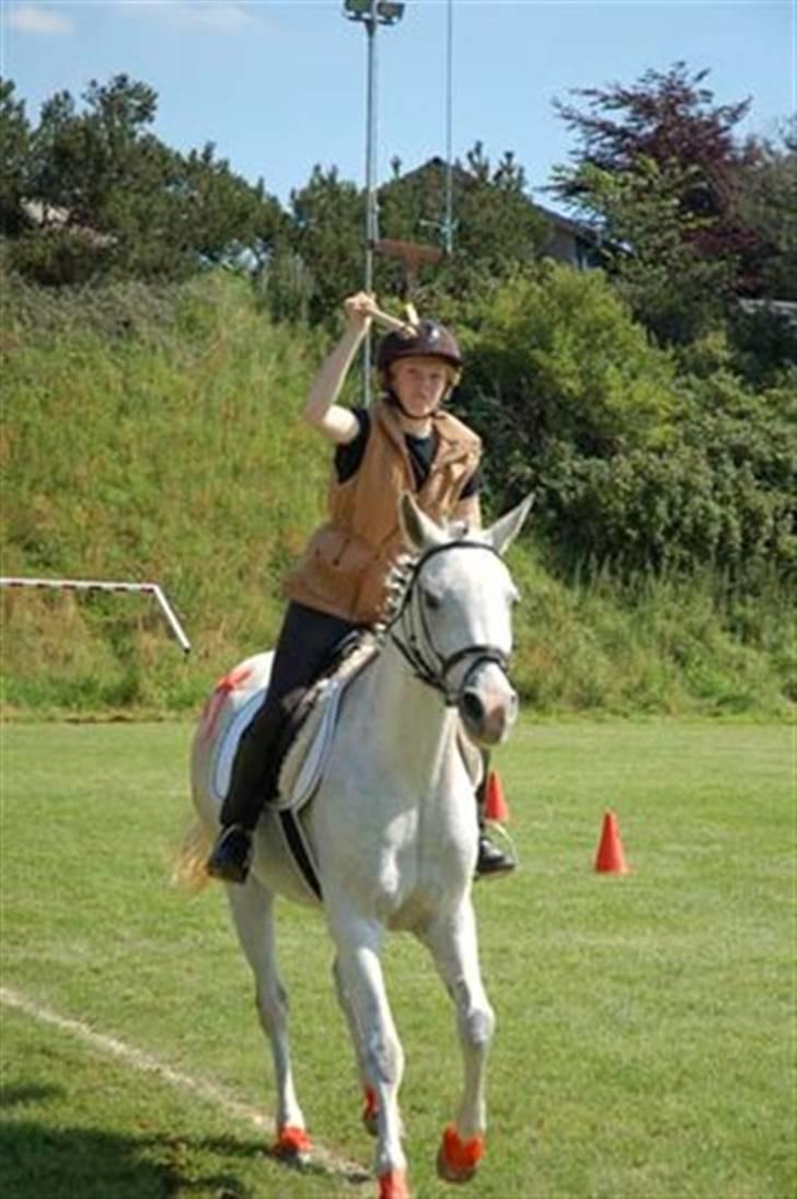 Arabisk fuldblod (OX) Djill Ann - Tager ringen til ringridning. se IKK på mig!!!! billede 19