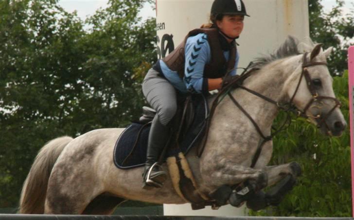 Hollandsk Sportspony | Rainy Lake (solgt 07) - min dejlige pony<33 elsker dig!<3 billede 19
