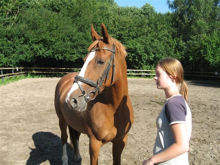 Frederiksborg Stella *RIP* :'( billede 2