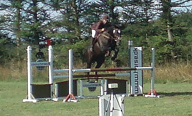 Anden særlig race Ebony *Solgt* - Dalby distrektstævne LB (undskyld kvaliteten) billede 17