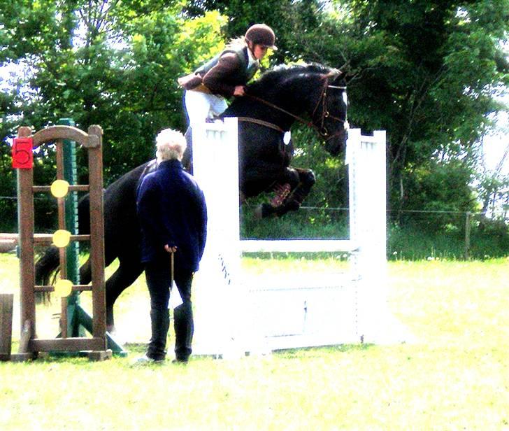 Anden særlig race Ebony *Solgt* - 1 plads i ld ude i ansager billede 18