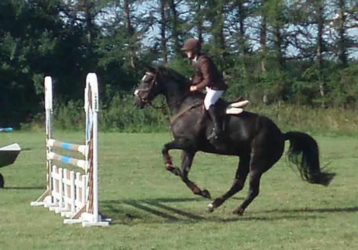 Anden særlig race Ebony *Solgt* - LB spring :) i dalby billede 19