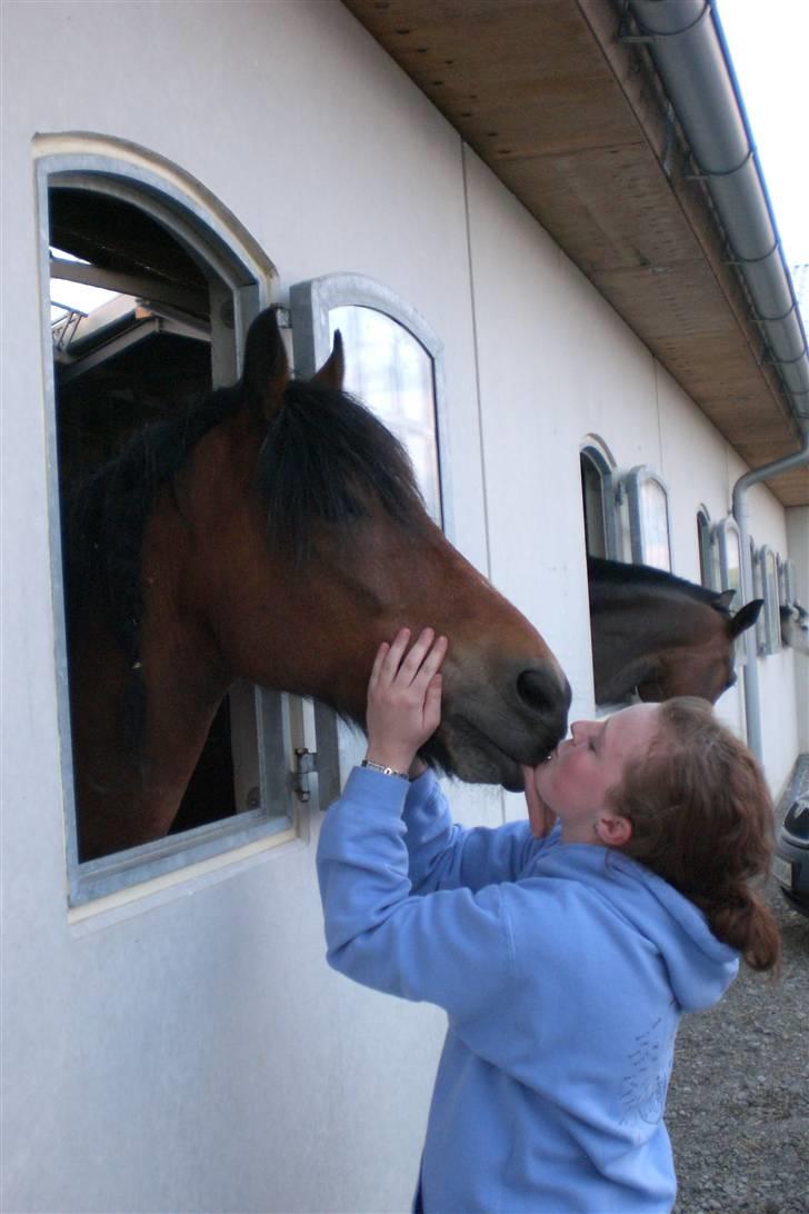 Anden særlig race Tordenskjold *Buller-basse* - han kysser mig ;) billede 8