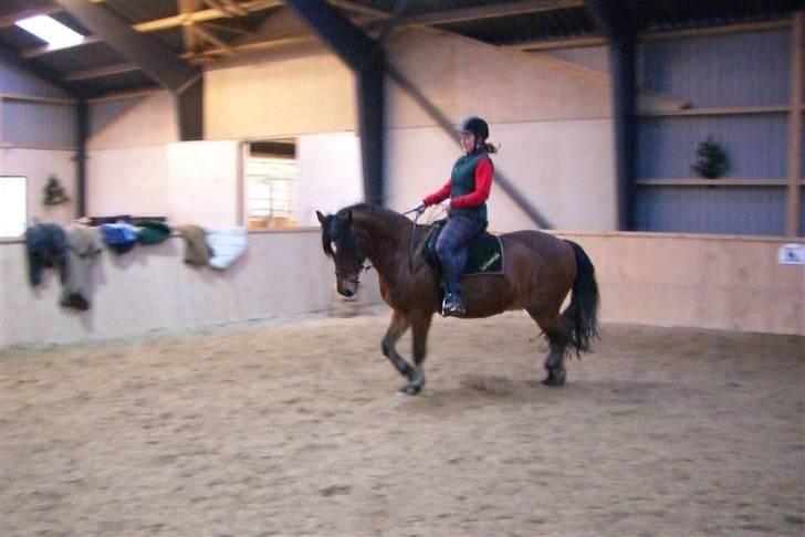 Anden særlig race Tordenskjold *Buller-basse* - han er blevet smidig... billede 9