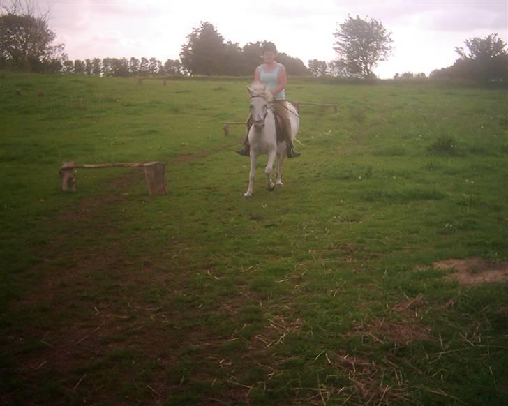 Anden særlig race Fraja<3 R.I.P:'( - 4: Frajaskat<3 16 år billede 4