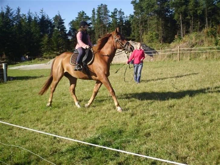 Anden særlig race PlayBoy <3 billede 1