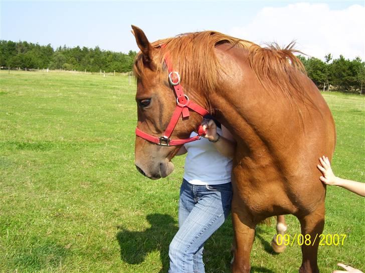 Anden særlig race PlayBoy <3 billede 2