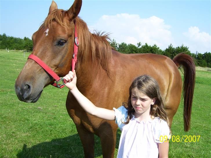 Anden særlig race PlayBoy <3 billede 3