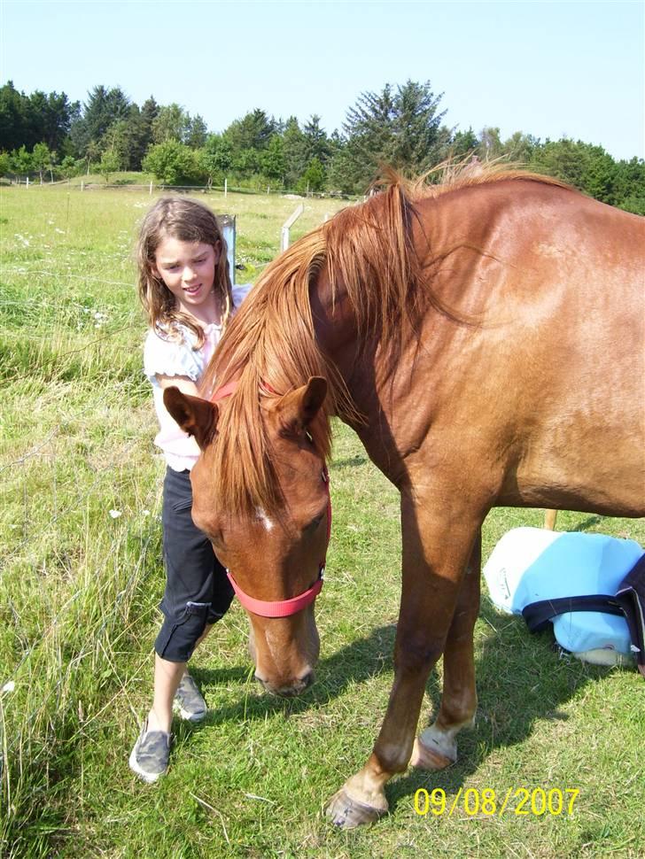 Anden særlig race PlayBoy <3 billede 4