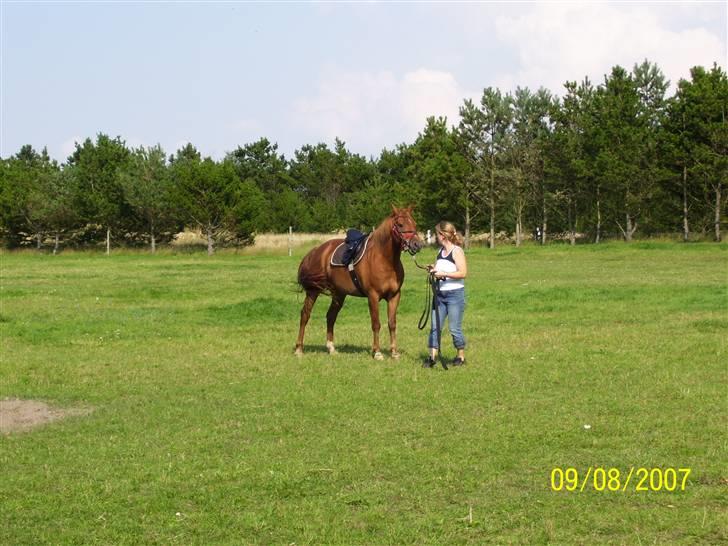 Anden særlig race PlayBoy <3 billede 6