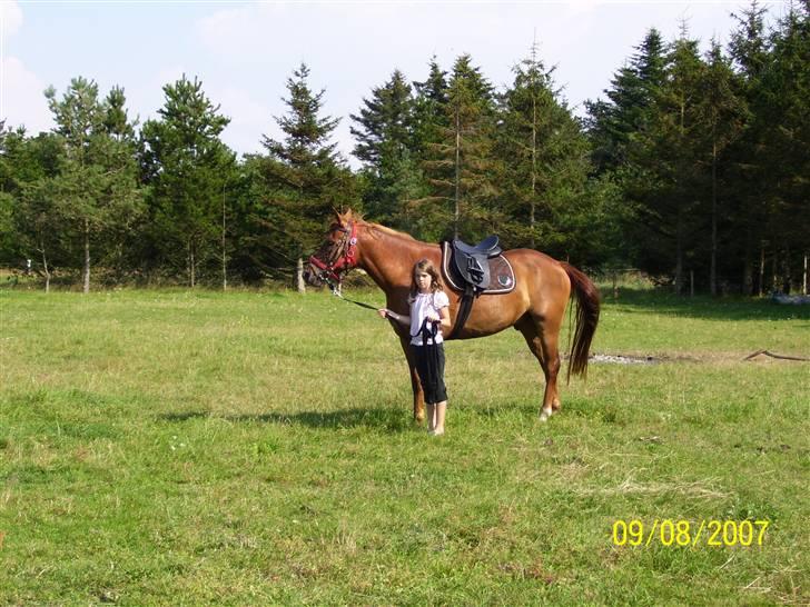 Anden særlig race PlayBoy <3 billede 7