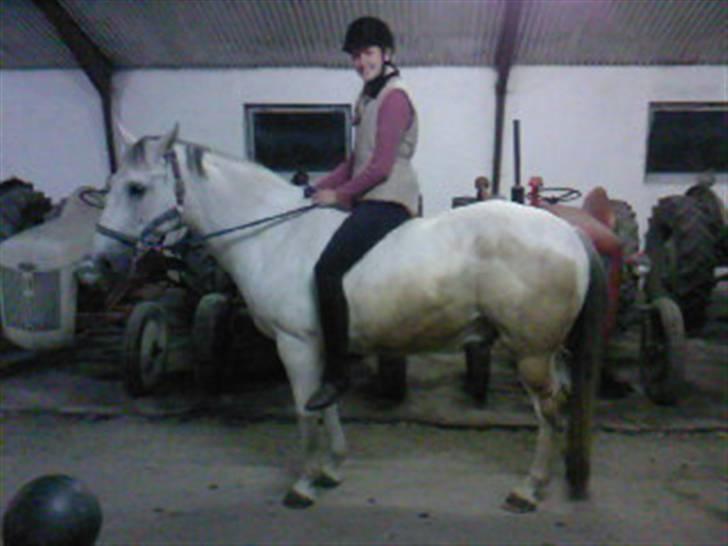 Anden særlig race Cisco - Vi pjatter :p.. billede 18