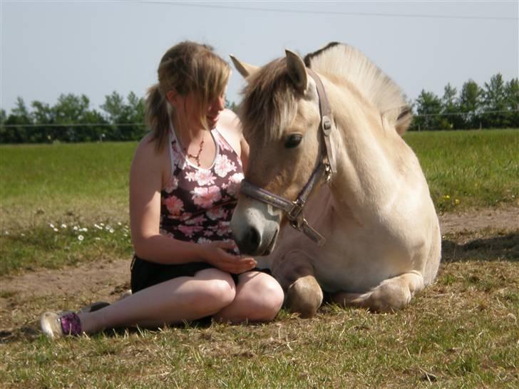 Fjordhest Thea Grace SOLGT - En hammervarm sommerdag nede ved Thea<333 billede 19