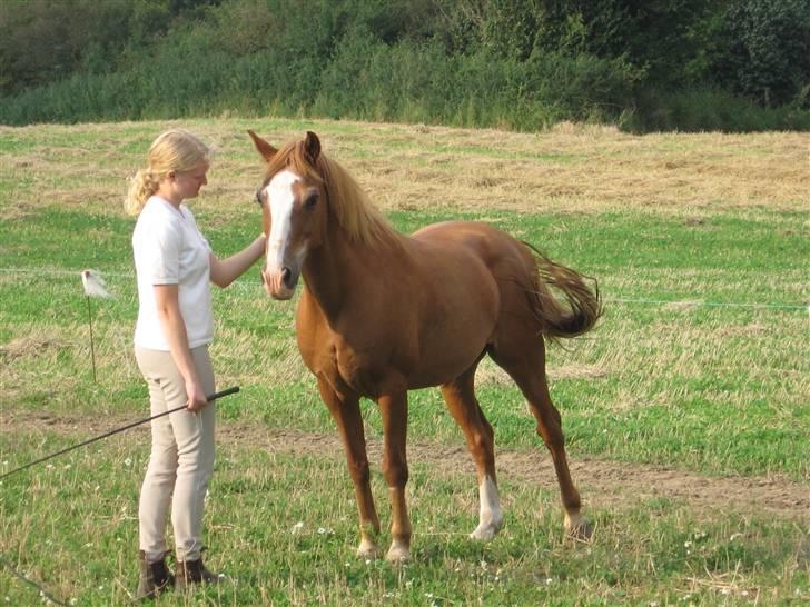 Anden særlig race Charlie - Min Engel † RIP - Charlie og mig<3 billede 7