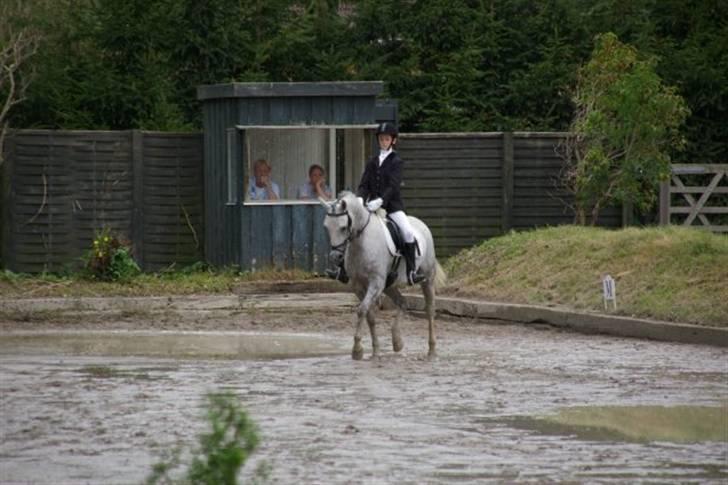 Welsh Partbred (Sec F) Lyngvejens Kenzo *SOLGT* - Billede nr. 10 Mig og Kenzo til DISM for hold. jeg fik 65,65% og blev den bedste på holdet... Jubii... Billedet er taget i 2007 billede 10