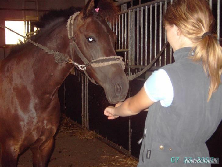 Anden særlig race Dusi<3  billede 6