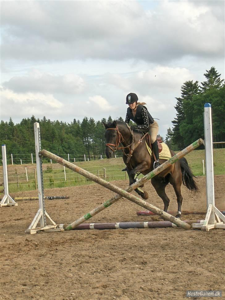 Anden særlig race Dusi<3  billede 9