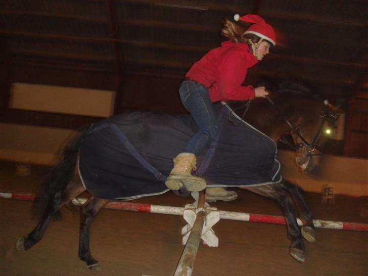 New Forest 1.Class Prince Albert billede 8