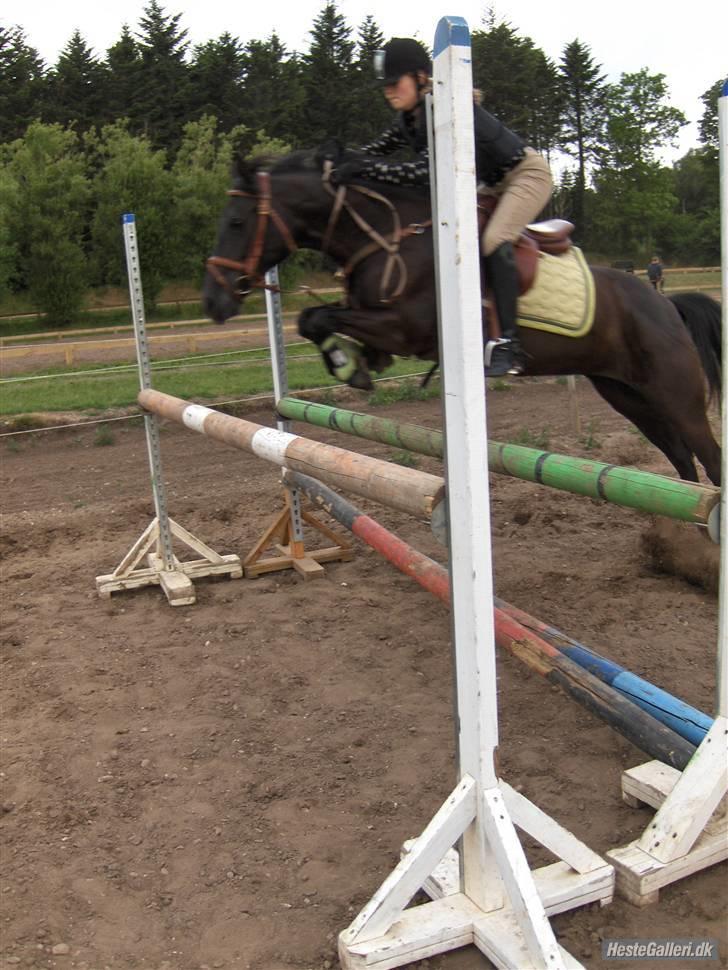 Anden særlig race Dusi<3  billede 10