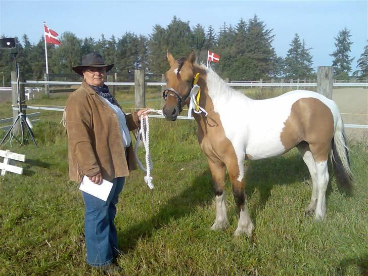 Anden særlig race Bavnshøj´s Cassie (Solgt) billede 13