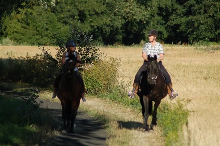 Anden særlig race Luna - Dejlig tur med Gine og Ellis, selvom fluerne er dumme! ;) Fotograf: H.C billede 12