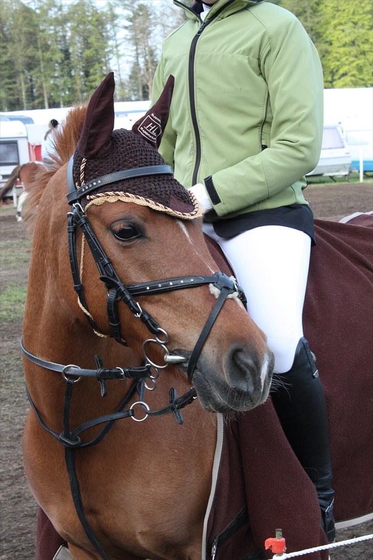 Anden særlig race BELLA <3 - Morsø 2010<3 Foto: Cecilie Ullits  billede 4