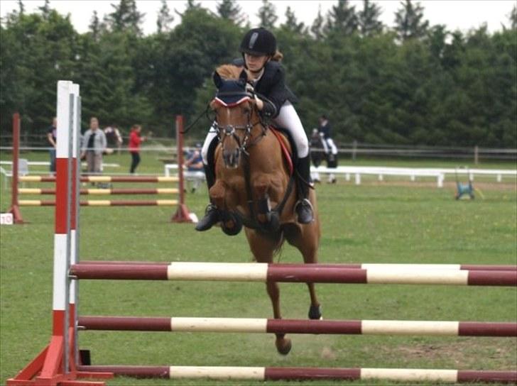 Anden særlig race BELLA <3 - Videbæk, LB :-) Foto: Malene Madsen  billede 5