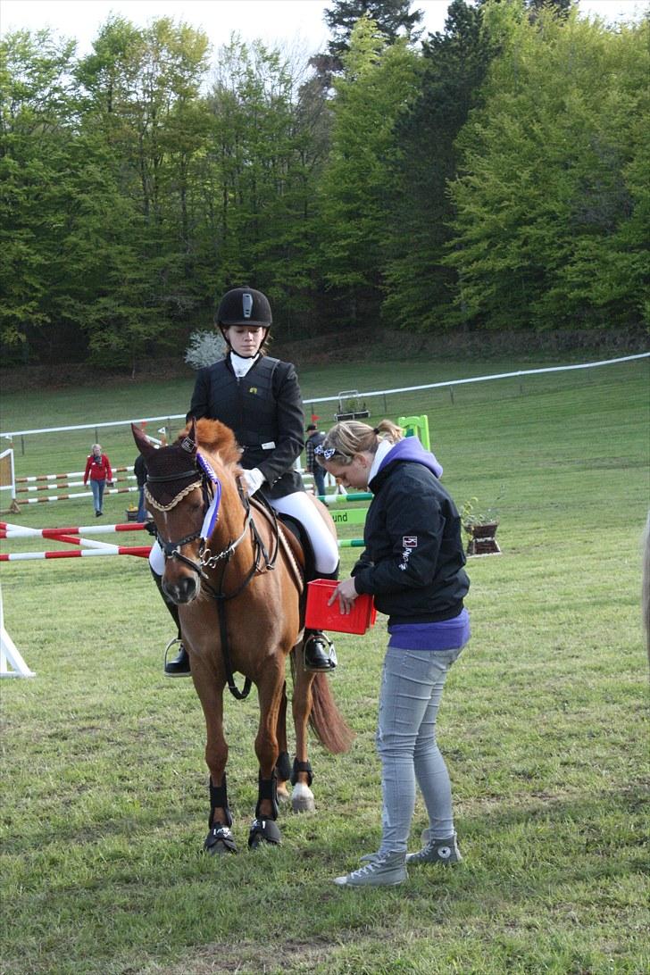 Anden særlig race BELLA <3 - Anden plads i LB2** på Morsø 2010<3 Foto: Cecilie Ullits  billede 12