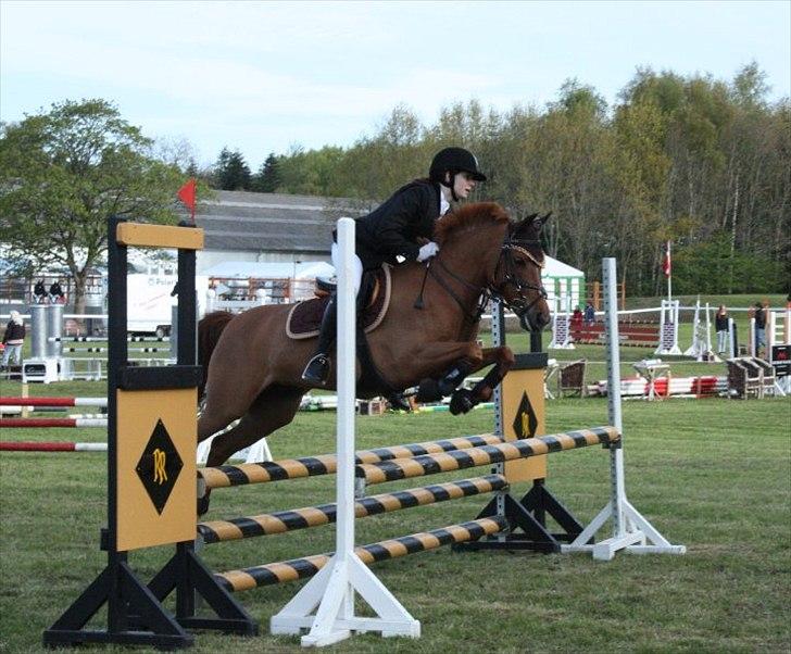 Anden særlig race BELLA <3 - Morsø 2010, LB** :-) Foto: Cecilie Ullits  billede 14