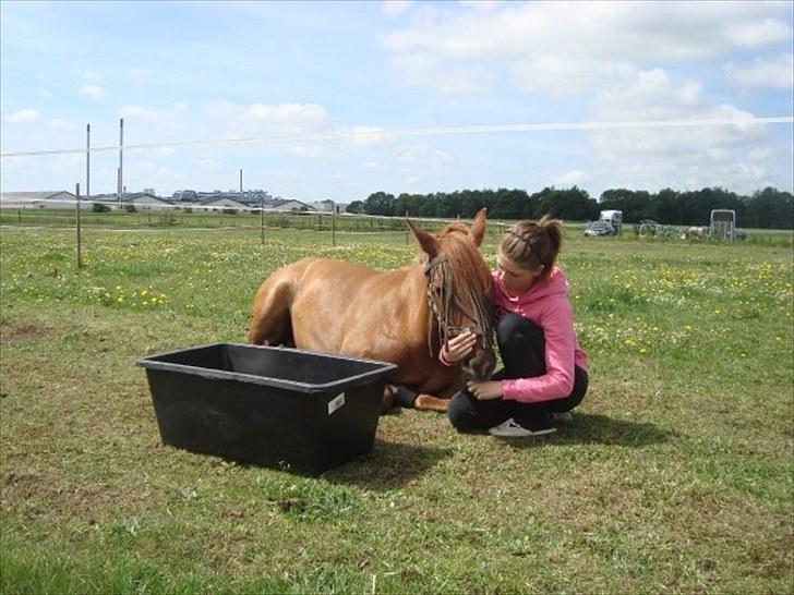 Anden særlig race BELLA <3 - Fordi jeg elsker min pony højere end alt andet! Foto: Malene Madsen  billede 15