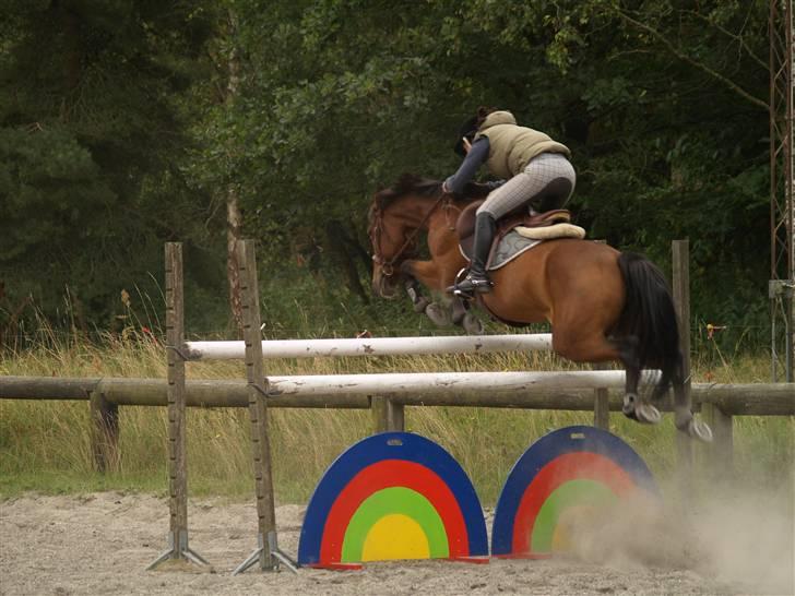 New Forest Pretty Woman solgt )': - 1,40 du så sej lille Pretty billede 8