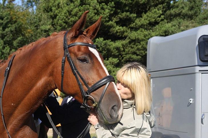 Dansk Varmblod Wald Staff - Mor Ewa stolt af sin Wald Staff billede 3